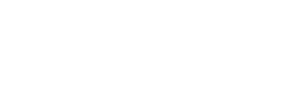 A1P
