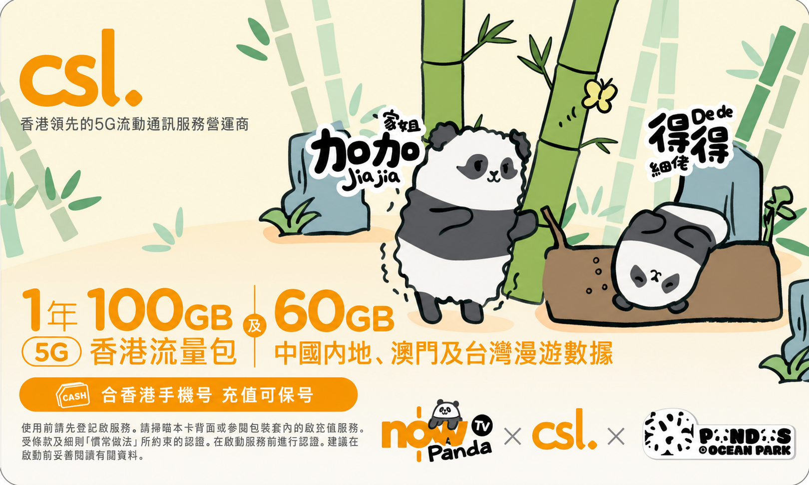 CSL Greater China 5G Panda Annual SIM